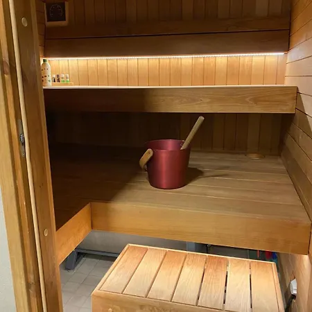 Cozy Cuest House In Levi Apartment