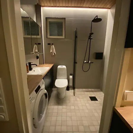 Cozy Cuest House In Levi Apartment