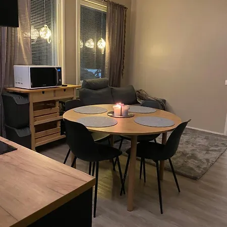 Apartamento Cozy Cuest House In Levi Kittilä