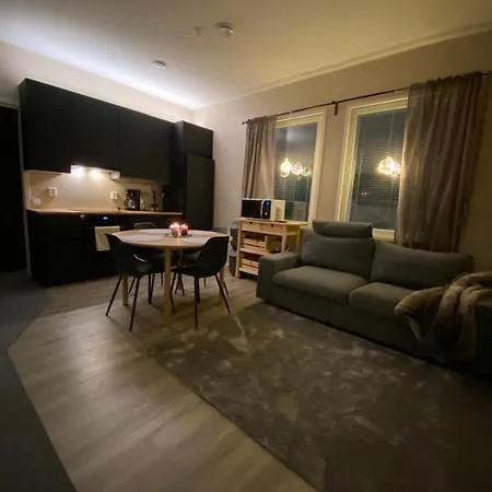 Cozy Cuest House In Levi